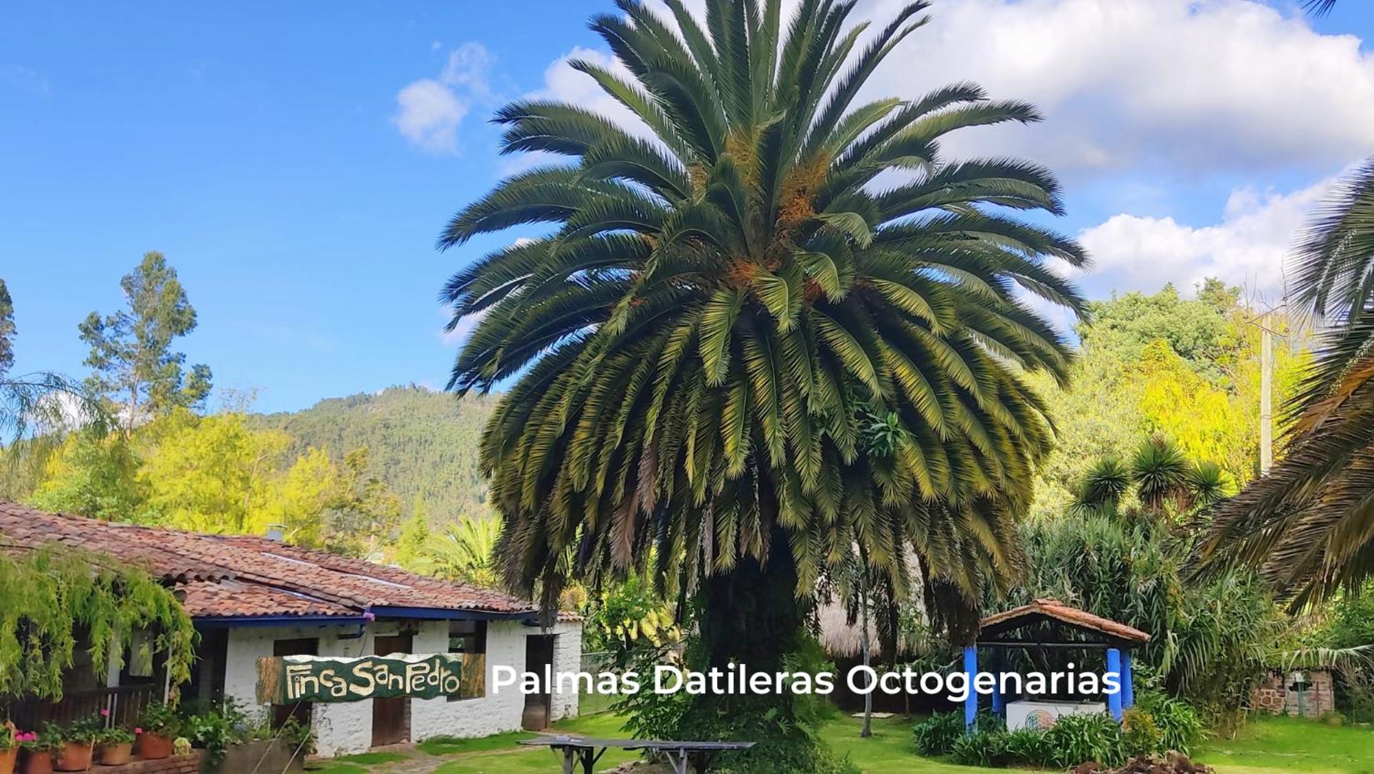 Finca San Pedro -Alojamiento Campestre Y Reserva Natural- Sogamoso Exterior photo