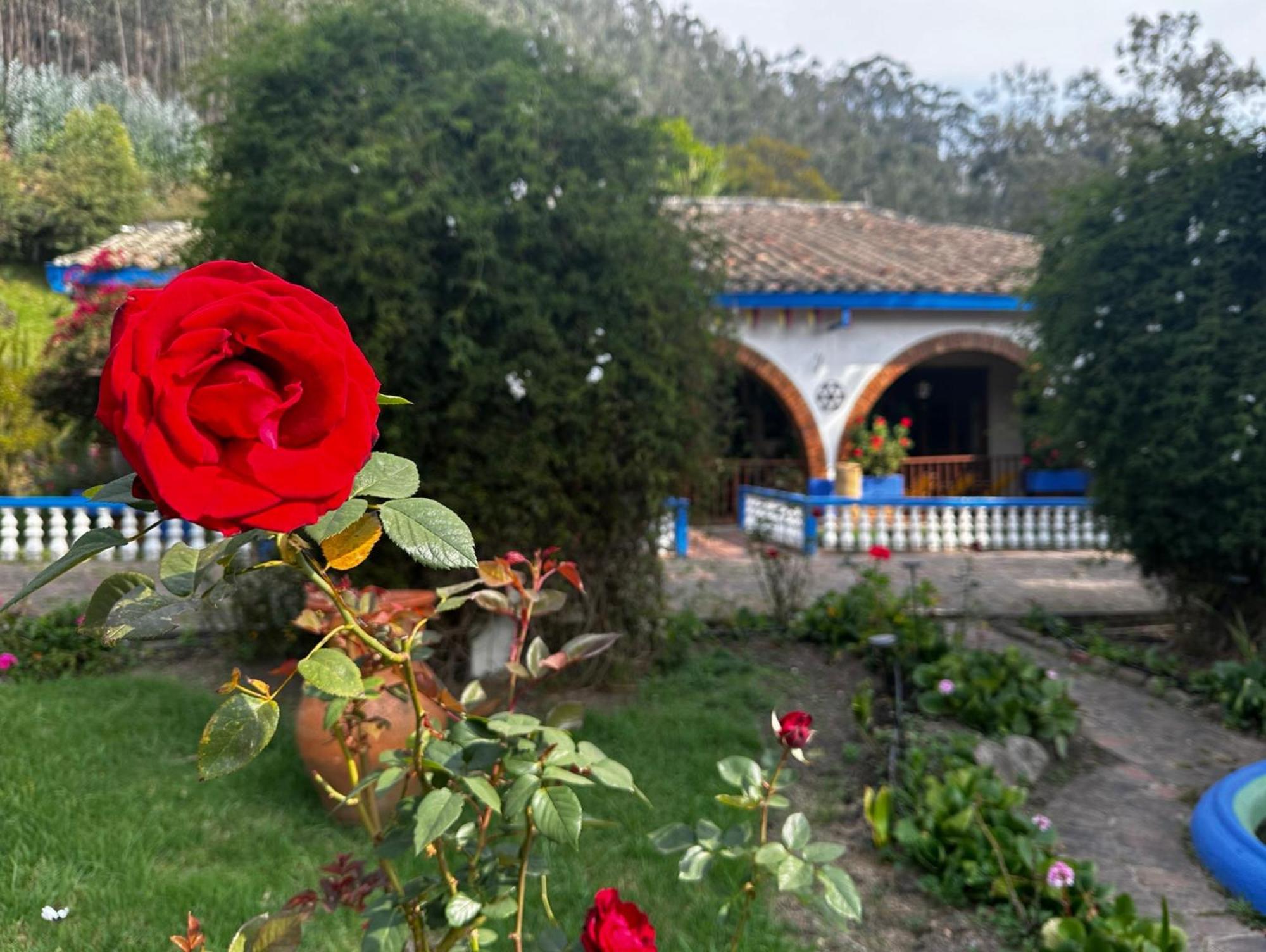 Finca San Pedro -Alojamiento Campestre Y Reserva Natural- Sogamoso Exterior photo